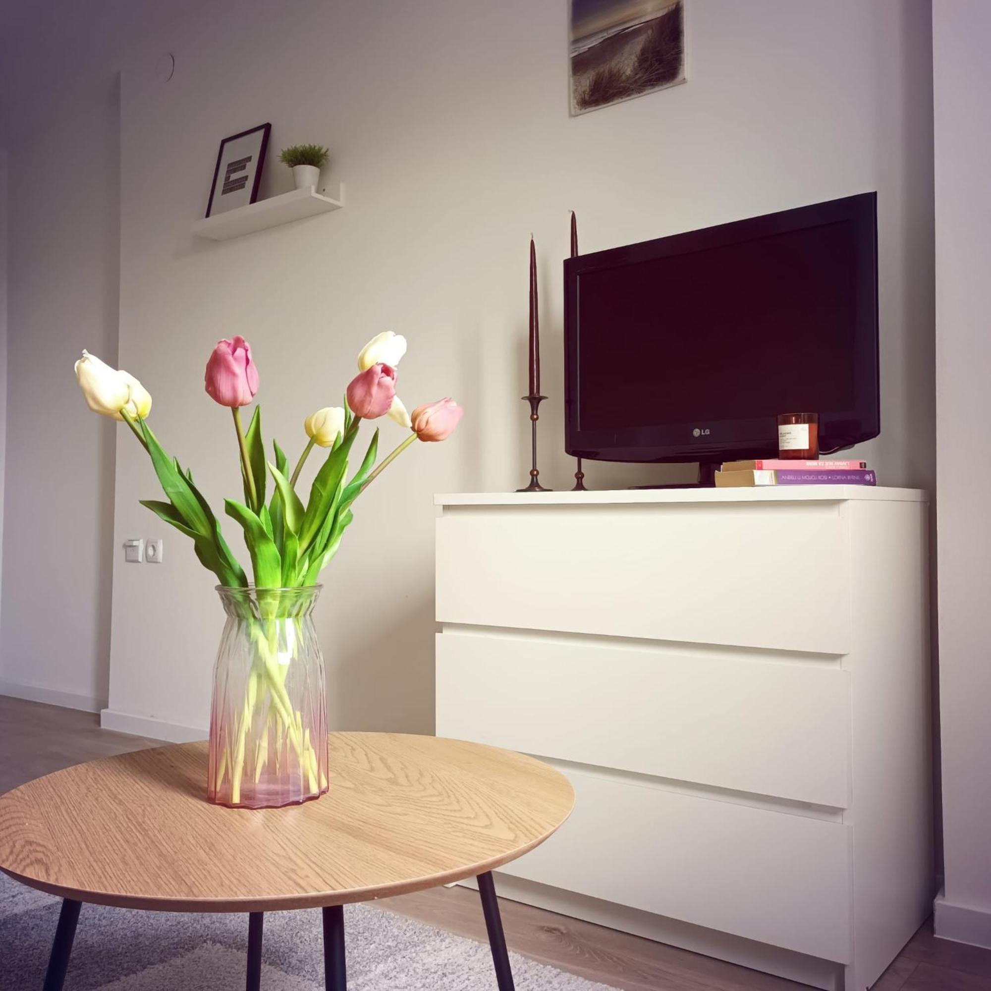 Modern Studio Near City Center Zágráb Kültér fotó